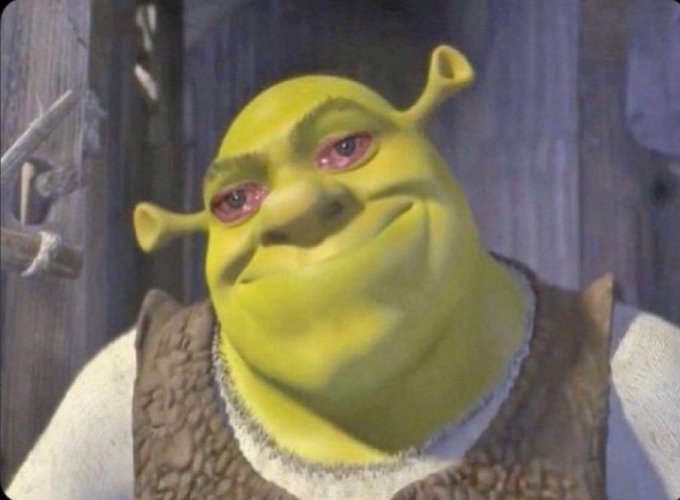 A close-up of Shrek with half-lidded, sleepy-looking eyes.