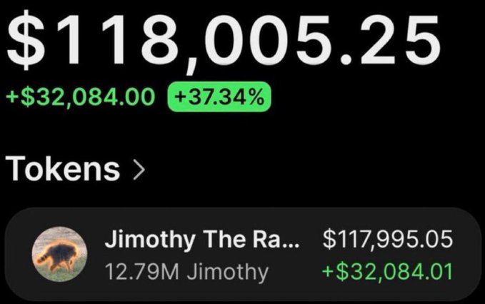 A screenshot shows a portfolio valued at $118,005.25, up $32,084.00 (+37.34%), highlighting a holding of "Jimothy The Ra..." (Jimothy token) worth $117,995.05, up $32,084.01. The image is used to promote the poster's past successful calls like $JIMOTHY (1089x) as proof of credibility before teasing a new "1000x" opportunity in their Telegram group.