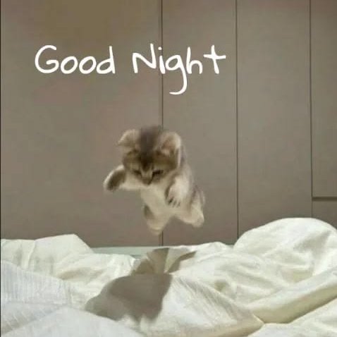 A cute kitten mid-air jumping off a white bed with the text 'Good Night' displayed on the closet behind it.