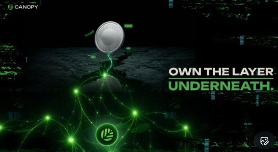 A promotional graphic for Canopy with a green glowing network visual, a floating coin, and the text 'OWN THE LAYER UNDERNEATH.'