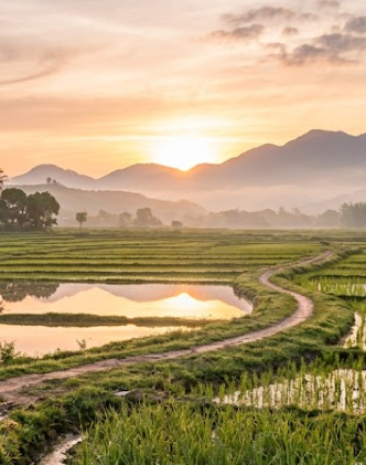 A scenic sunrise over terraced rice paddies with a small pond reflecting the golden sky, mountains silhouetted in the background and a dirt path leading through the fields.