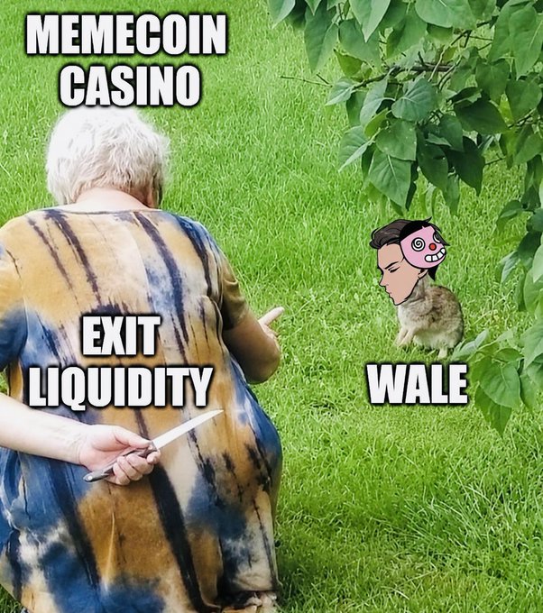 The image shows a meme featuring an older woman holding scissors labeled "EXIT LIQUIDITY" behind her back, sneaking up on a cat wearing a cap labeled "WHALE" in grass, with the text "MEMECOIN CASINO" at the top. The visual humor illustrates the post's message about how retail investors ("whales" here ironically referring to those who get dumped on) are preyed upon in the memecoin market, where exit liquidity hunters reap the rewards while casual participants leave with empty pockets.