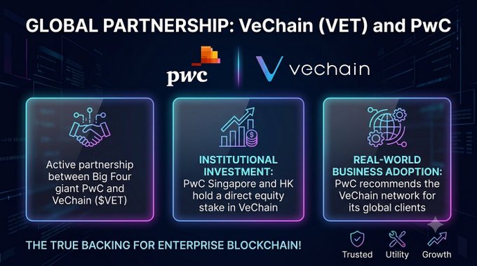 The image showcases the strategic partnership between PwC and VeChain (VET), highlighting their active collaboration, PwC Singapore and Hong Kong's direct equity investment in VeChain, and PwC's recommendation of the VeChain network for its global clients—reinforcing the post's emphasis on enterprise-level blockchain adoption and the credibility of having a "Big Four" accounting firm invested in the project.