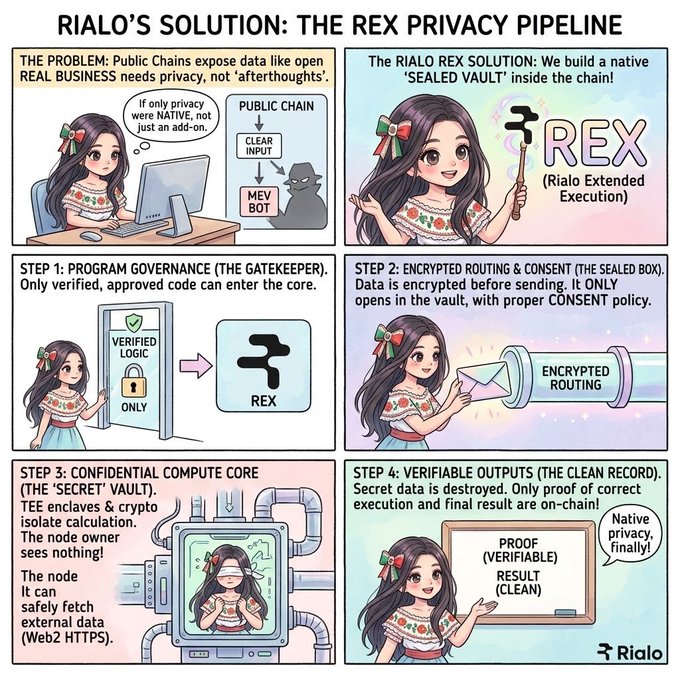 A six-panel educational comic titled 'RIALO'S SOLUTION: THE REX PRIVACY PIPELINE' uses an anime-style character to explain a privacy process involving 'SEALED VAULT', encrypted routing, and confidential compute cores.