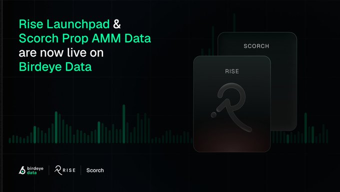 A dark promotional graphic announces "Rise Launchpad & Scorch Prop AMM Data are now live on Birdeye Data" in teal and white text, featuring overlapping black cards labeled "SCORCH" and "RISE" with Rise's logo, set against a background of green trading chart bars, with the birdeye data, Rise, and Scorch logos displayed at the bottom.