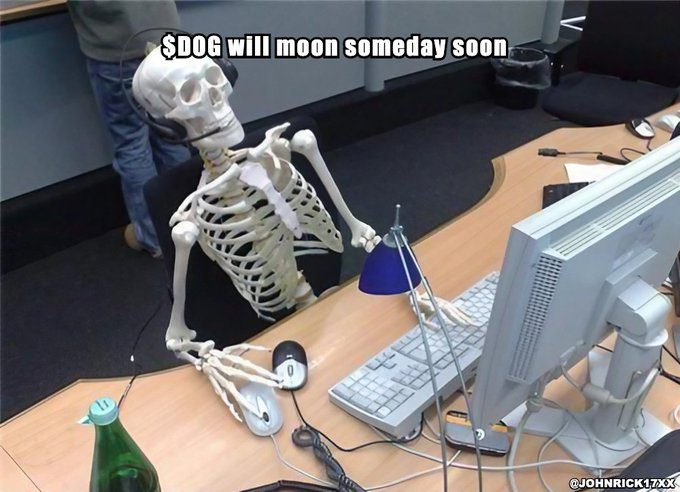 The image features a skeleton sitting at a desk with a computer monitor, keyboard, mouse, and other office equipment such as a bottle of water and a cup. The skeleton appears to be holding a book or a piece of paper while looking at the screen. The caption reads "$DOG will moon soon", which is likely a reference to Bitcoin, an online currency system.