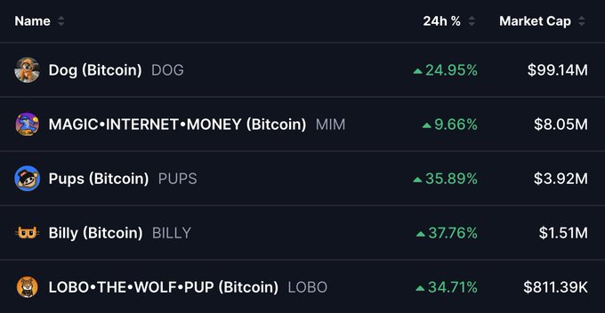 A cryptocurrency market tracker showing Bitcoin-based meme coins: Dog (DOG) up 24.95% at $99.14M cap, MAGIC•INTERNET•MONEY (MIM) up 9.66%, Pups (PUPS) up 35.89%, Billy (BILLY) up 37.76%, and LOBO•THE•WOLF•PUP (LOBO) up 34.71%.