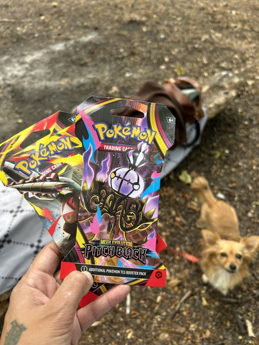 A hand holds two sealed Pokémon Trading Card Game 'Scarlet & Violet - Prismatic Evolutions' booster packs featuring Eternatus, with a small dog sitting on the ground in the background.