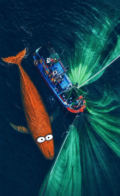 An aerial view shows a fishing boat deploying green nets alongside a massive orange whale whose googly-eyed cartoon face has been edited onto its body, humorously illustrating the "$BOB whale" meme as the boat appears to be catching or releasing the giant creature from the sea.