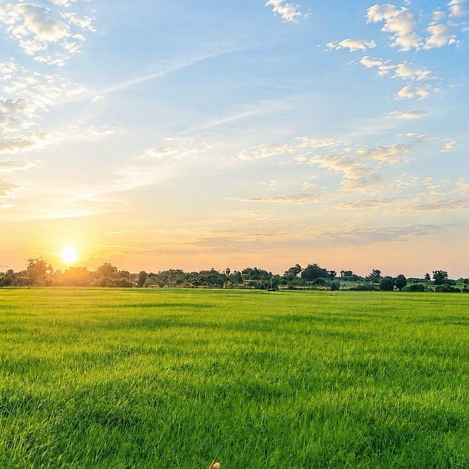A serene landscape showing a green grassy field at sunset, with the sun low on the horizon and scattered clouds in a blue and orange sky.