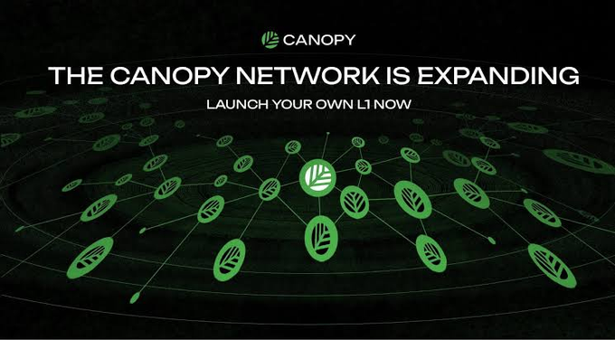 An advertisement for 'CANOPY' featuring the text 'THE CANOPY NETWORK IS EXPANDING - LAUNCH YOUR OWN L1 NOW' displayed over a dark background with a green network visualization of interconnected nodes.