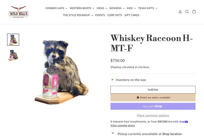 A $750 sold-out "Whiskey Raccoon H-MT-F" figurine from Wild Bill's Western Store holds a bottle while clinging to it. The raccoon's sneaky, opportunistic pose with the bottle humorously mirrors the caption's tongue-in-cheek threat of catching a runner and keeping it a secret.