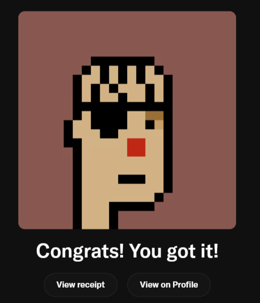 A pixel-art Cryptopunk character with a crown and red lips is displayed above the text "Congrats! You got it!" with buttons to "View receipt" and "View on Profile," celebrating the user's achievement of finally acquiring their first NFT CryptoPunk after a long journey.