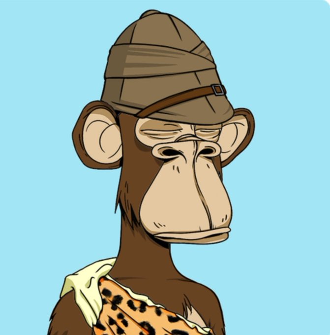 A cartoon-style portrait of a monkey wearing a pith helmet and a leopard-spotted garment, set against a light blue background.