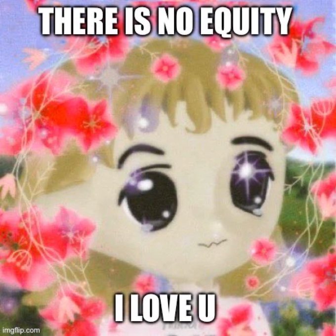 An 'imgflip.com' meme features a sparkly anime-style cat girl surrounded by pink flowers with the text 'THERE IS NO EQUITY' at the top and 'I LOVE U' at the bottom.