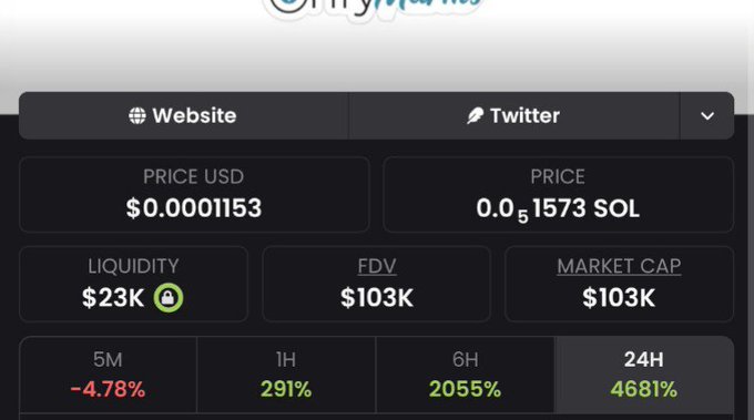 A cryptocurrency tracking dashboard displays onlyfun token stats with a $103K market cap and $0.0001153 USD price, alongside dramatic gains of 291% (1H), 2055% (6H), and 4681% (24H). The image visually confirms the post's claim that the token has rapidly grown from a $20K market cap to $103K, reflecting the massive 24-hour price surge.