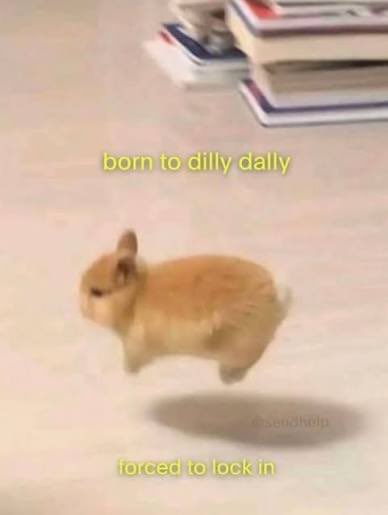 A viral video still of a small tan rabbit running in place, with overlaid text reading 'born to dilly dally' and 'forced to lock in', with 'sandhelp' watermark.