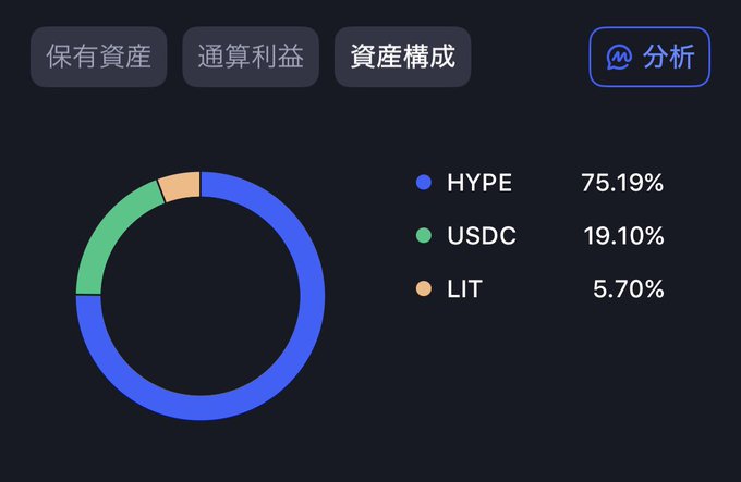 The image shows a portfolio asset allocation donut chart displaying holdings of HYPE at 75.19%, USDC at 19.10%, and LIT at 5.70%, under the "資產構成" (Asset Composition) tab. This relates to the post's message about HYPE steadily building up as a holding, illustrating the speaker's heavy concentration in HYPE while maintaining some USDC stability and smaller LIT position amid a bullish crypto market where alts are holding strong.