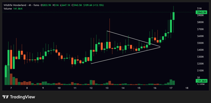 A TradingView 4-hour candlestick chart for $WW (Wildlife Wonderland) shows a breakout from a symmetrical triangle pattern, with the token surging to $843.5K (+13.15%) on heavy volume of 141.86K, supporting the claim of nearly 2x gains.