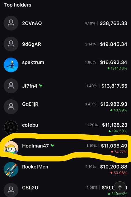 A 'Top holders' list showing wallet rankings with Hodlman47 circled in yellow at 1.19% holding $11,035.49 (down 74.77%), alongside other holders like 2CVnAQ at 4.18% ($38,763.33) and spektrum at 1.80% ($16,692.34).