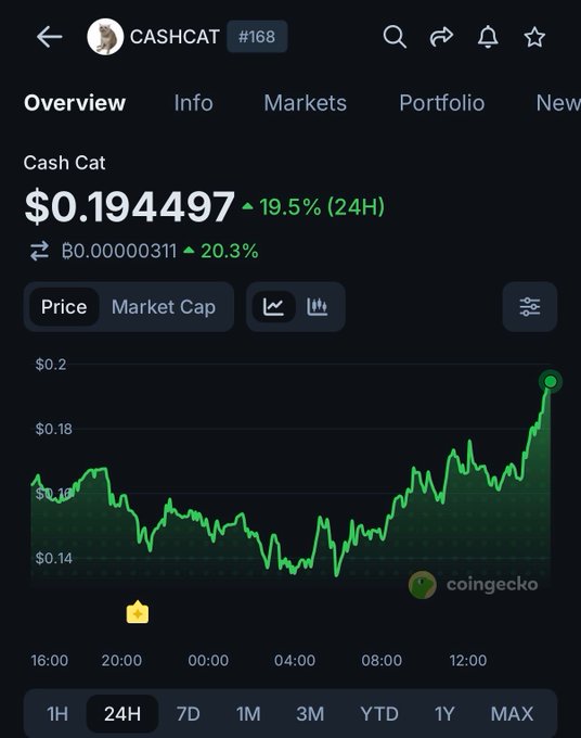 A CoinGecko screenshot shows "CASHCAT" (#168) priced at **$0.194497**, up **19.5%** over 24 hours, with a green 24-hour price chart climbing from ~$0.14 to its current high—visually confirming the post's claim of strong gains amid broader bearish market sentiment.
