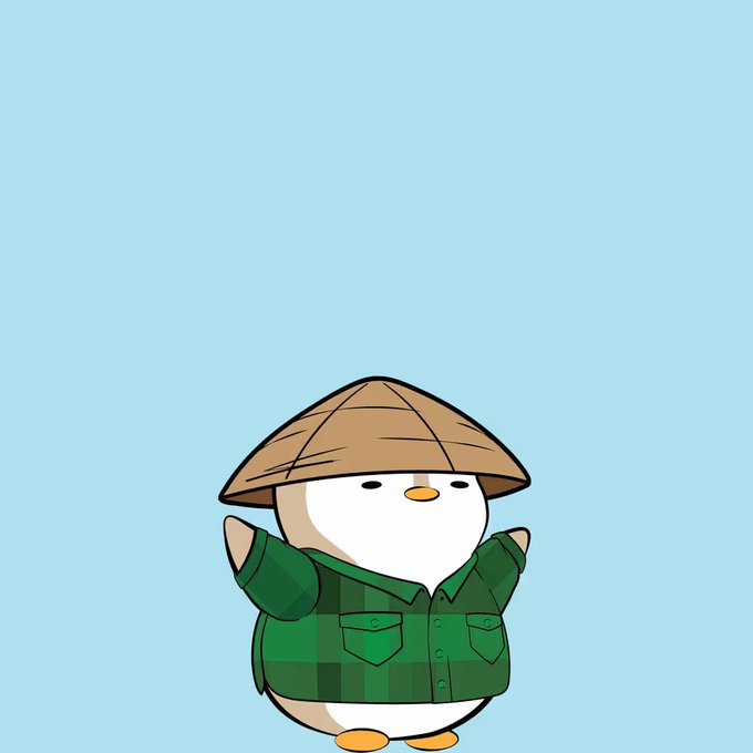 A cartoon illustration of a chubby penguin character wearing a traditional Vietnamese conical hat (nón lá) and a green plaid shirt against a light blue background.