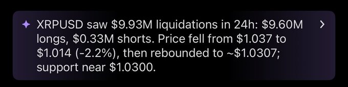 A market update showing XRPUSD had $9.93M in 24h liquidations ($9.60M longs, $0.33M shorts), with price dropping 2.2% from $1.037 to $1.014 before rebounding to ~$1.0307, illustrating the post's claim of a major long flush and intense battle at the $1.00 support level.