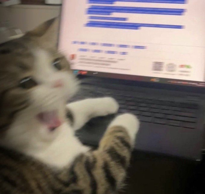 A blurry tabby and white kitten looks up with an open mouth next to an open laptop displaying a screen with blue text and QR codes. The image humorously accompanies a post about needing donations, with the cute cat appealing for support in a "try again" fundraising attempt.