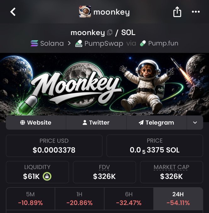A cryptocurrency profile for 'moonkey' on Solana via PumpSwap/Pump.fun shows a price of $0.0003378 USD, $326K market cap, $61K liquidity, and significant price drops of -10.89% (5M), -20.86% (1H), -32.47% (6H), and -54.11% (24H).