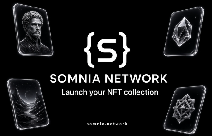 The image is a promotional graphic for "Somnia Network" featuring the tagline "Launch your NFT collection" alongside the URL "somnia.network," displayed with stylized NFT cards depicting a classical bust, a crystal, a cosmic landscape, and a geometric shape. It relates to the accompanying post by visually representing Somnia's NFT-focused platform, which appears to be the subject of internal debate about how to support new collections without undermining existing projects.