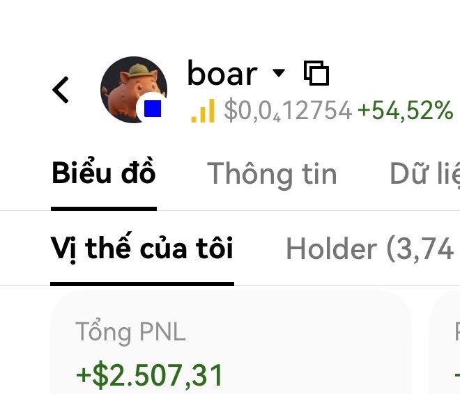 A crypto tracking interface showing a token called 'boar' with a price of $0.0412754 and a +54.52% gain, with 'Vị thế của tôi' (My position) showing Tổng PNL of +$2,507.31.