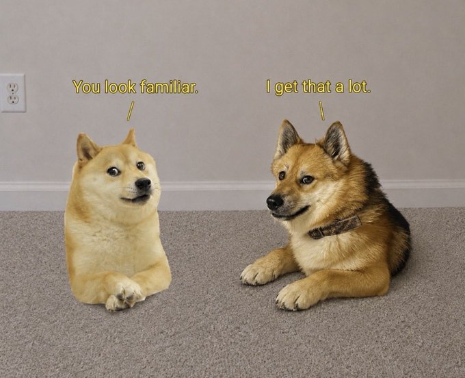 Two Shiba Inu dogs face each other on a carpeted floor, with the left dog saying "You look familiar." and the right dog wearing a collar responding "I get that a lot." The meme cleverly parallels the post's theme by depicting the iconic Doge meme alongside what appears to be its "newer version," visually representing the relationship between $DOGE and the derivative token $Doge2.