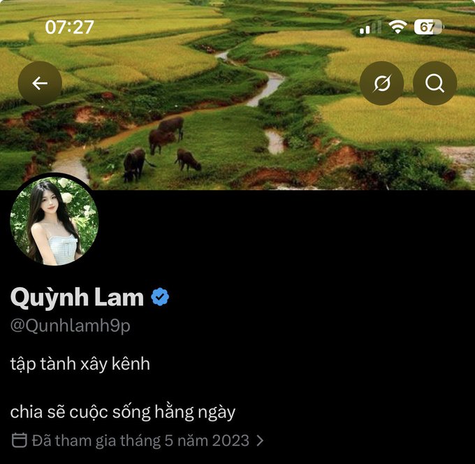 A mobile profile screen for 'Quỳnh Lam' (@Qunhlamh9p) with a verified badge shows Vietnamese text 'tập tành xây kênh' and 'chia sẻ cuộc sống hàng ngày' over a background of rice fields with water buffalo.