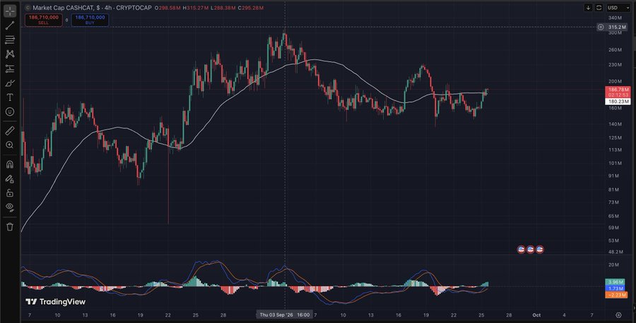 A TradingView chart displays the 4-hour CASHCAT market cap (CRYPTOCAP:CASHCAT) oscillating around $188.71M against a white moving average, with an RSI indicator at the bottom showing values of 48.45M (or 3.85M), -2.24M, and -2.26M. The chart illustrates the post's point that $CASHCAT remains roughly 40% below its all-time high even as the broader crypto market has recovered, currently sitting near $2.86T in total market cap.