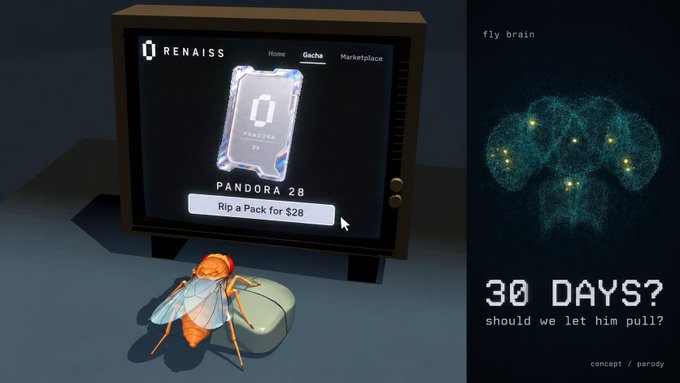 Two images: on the left, a TV displays 'RENAISS' with 'PANDORA 28' and 'Rip a Pack for $28' while a cartoon fly watches; on the right, text reads 'fly brain', '30 DAYS? should we let him pull?' over a glowing brain image.