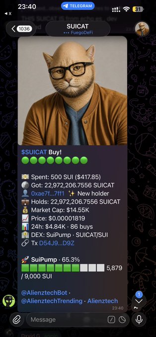 A Telegram screenshot displays a cryptocurrency token called $SUICAT, showing a cat wearing glasses and a hoodie, with transaction details: Spent 500 SUI ($417.85), Got 22,972,206.7556 SUICAT, Market Cap $14.55K, Price $0.00001819, via DEX SuiPump.