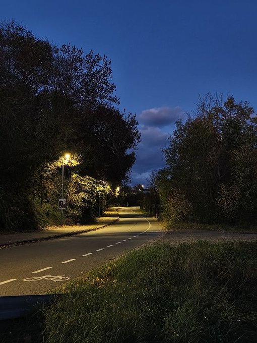 A peaceful evening scene of a winding road with a bike lane illuminated by street lamps under a deep blue twilight sky.