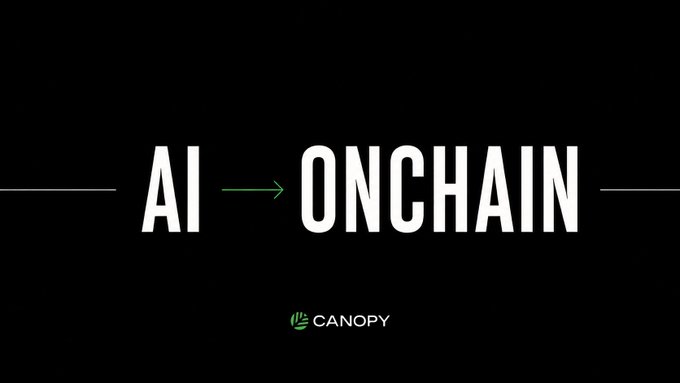 Black graphic with white text reading 'AI → ONCHAIN' featuring the Canopy logo in green.