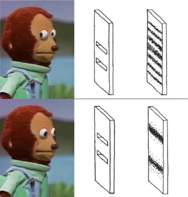 A puppet dog looks sideways suspiciously at two doorways: one with neatly stacked shelves showing multiple filled pages, and another with just a few sparse entries. The image references BTC, contrasting an organized, well-stocked inventory versus a sparse, nearly empty one — humorously implying that while one ledger is fully utilized, the Bitcoin side is "empty."