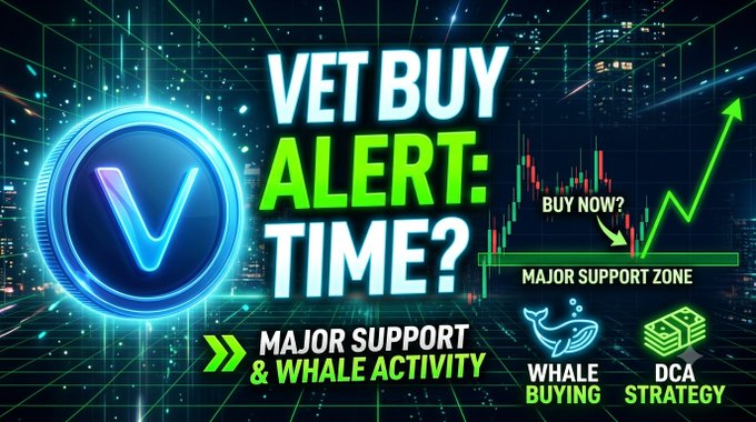 Thumbnail-style graphic asking "VET BUY ALERT: TIME?" highlighting major support and whale activity, suggesting DCA strategy.