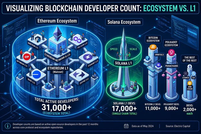 A comparison graphic depicting different types of cryptocurrency networks and their levels of activity with the most active network being Ethereum. The graphic shows that while Bitcoin has a few active developers, Ethereum is much more active with a larger number of active developers within its Layer 1 Network.