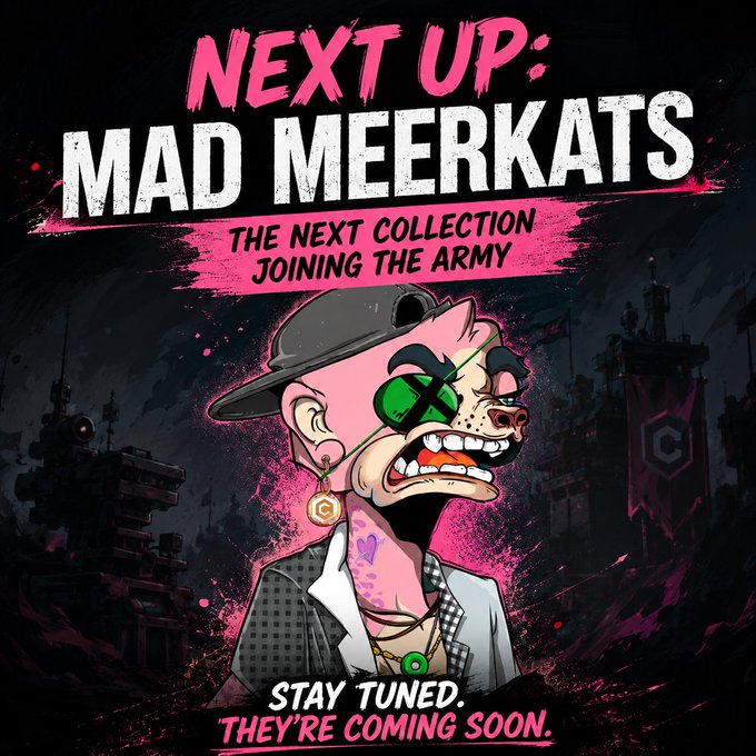 A promotional graphic with bold pink and white text reading 'NEXT UP: MAD MEERKATS - THE NEXT COLLECTION JOINING THE ARMY' featuring a punk-style cartoon meerkat wearing sunglasses and an earring, with 'STAY TUNED. THEY'RE COMING SOON.'