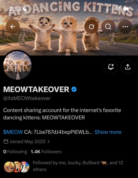 A screenshot of the "MEOWTAKEOVER" X profile (@itsMEOWtakeover) showing the banner featuring dancing kittens, with the account displaying 1.4K followers, the $MEOW ticker, and a May 2025 join date. The profile visually confirms the post's claim of surpassing 1,000 followers, while the playful kitten branding aligns with the caption's lighthearted "meow takeover" tone.