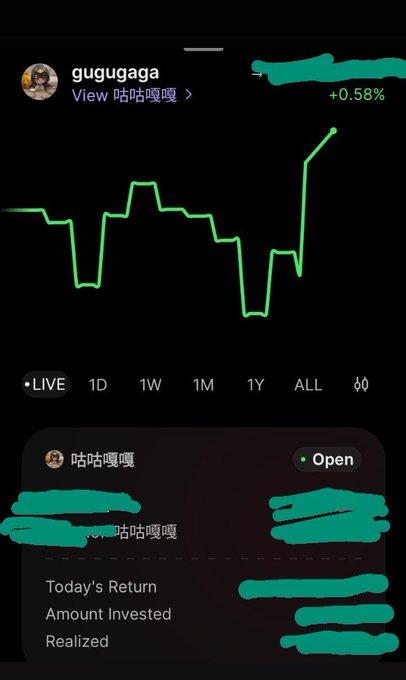 A screenshot of a financial app or platform showing a green upward trending chart with the username 'gugugaga' and text 'View 咕咕嘎嘎', along with financial details like 'Today's Return'.