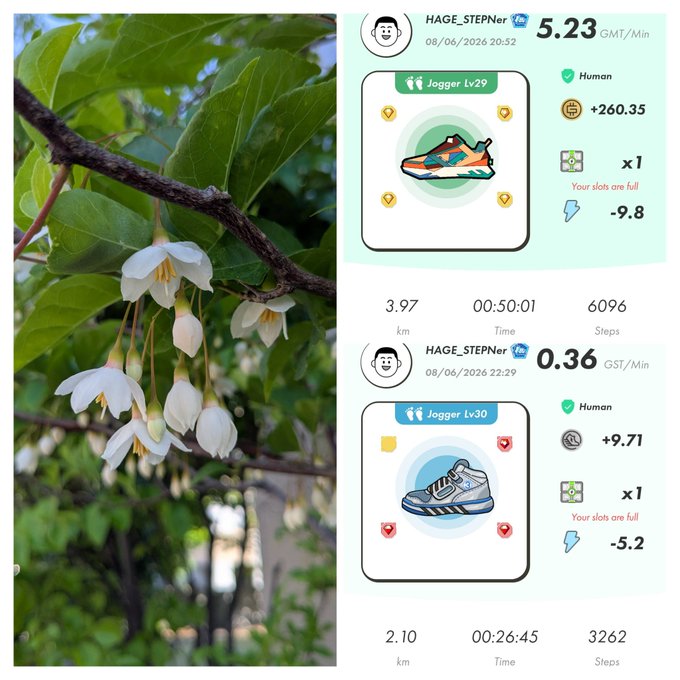 ids of two different images, one with a white flower and another with a pair of shoes.