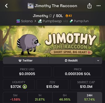 The image displays the DexScreener page for the Solana memecoin "Jimothy The Raccoon" (ticker: JIMOTHY), showing a price of $0.01005 (0.0001306 SOL), a $372K liquidity pool, $10M FDV/market cap, and recent gains of 21.87% (1H), 46.95% (6H), and 57.74% (24H). The post advising to "Study the LP of RH coins" relates to the image by highlighting Jimothy's $372K liquidity—a relatively thin pool on PumpSwap/Pump.fun, which is a key risk metric traders examine when evaluating recently hyped ("RH") meme coins for potential exit liquidity or rug-pull susceptibility.