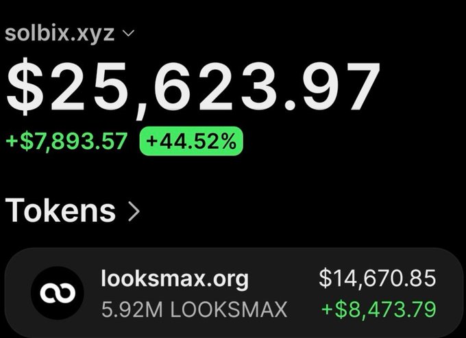 A wallet (solbix.xyz) showing a portfolio value of $25,623.97, up +$7,893.57 (+44.52%), with the top holding being 5.92M LOOKSMAX tokens (looksmax.org) valued at $14,670.85 with an unrealized gain of +$8,473.79, illustrating the poster's claim of turning $303 into over $21,000 profit on the $LOOKSMAX token.