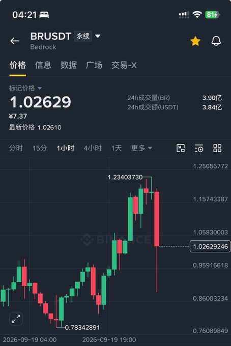 A cryptocurrency trading app screenshot showing the price chart for BRUSDT (Bedrock) with a marked price of 1.02629, a 24h volume of 3.90亿 BR, and a candlestick chart displaying recent price volatility.