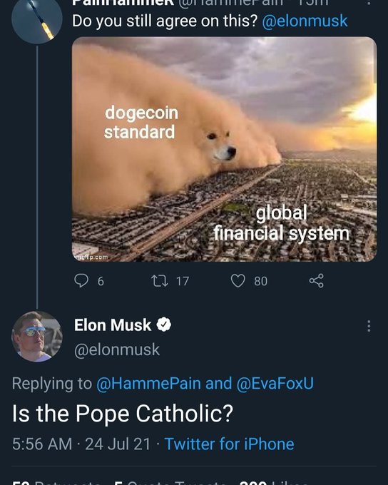 A Twitter exchange where @Hammefan asks Elon Musk 'Do you still agree on this?' alongside a meme depicting a giant Shiba Inu labeled 'dogecoin standard' towering over a city labeled 'global financial system.'