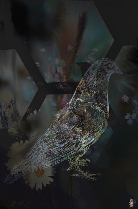 The image features an abstract painting with a bird as its central focus. The bird, which appears to be white or gray, is depicted in a sketchy style against a black background. It seems to be standing still, possibly gazing at something off-camera. The painting also includes elements of nature such as flowers and grass, adding depth and complexity to the artwork. The image has been shared on social media with the caption "Gm everyone! Have a lovely Monday and start to the new week #galacticwanderlust".